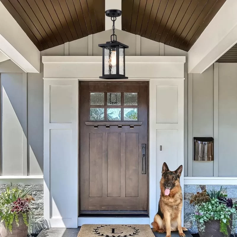 D06116PP Outdoor Chandelier for Gazebo Dusk to Dawn, Outdoor Pendant Light for Porch with Adjustable Chain & Tempered Glass, Farmhouse Exterior Hanging Lantern Light Fixture for Patio Entryway Garage, 1Pack - Image 2