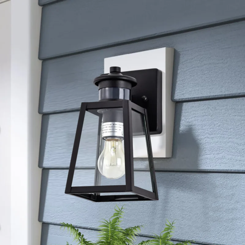CA1928-W B05020PG Motion Sensor & Dusk to Dawn 9.5"H Matte Black Outdoor Wall Lantern